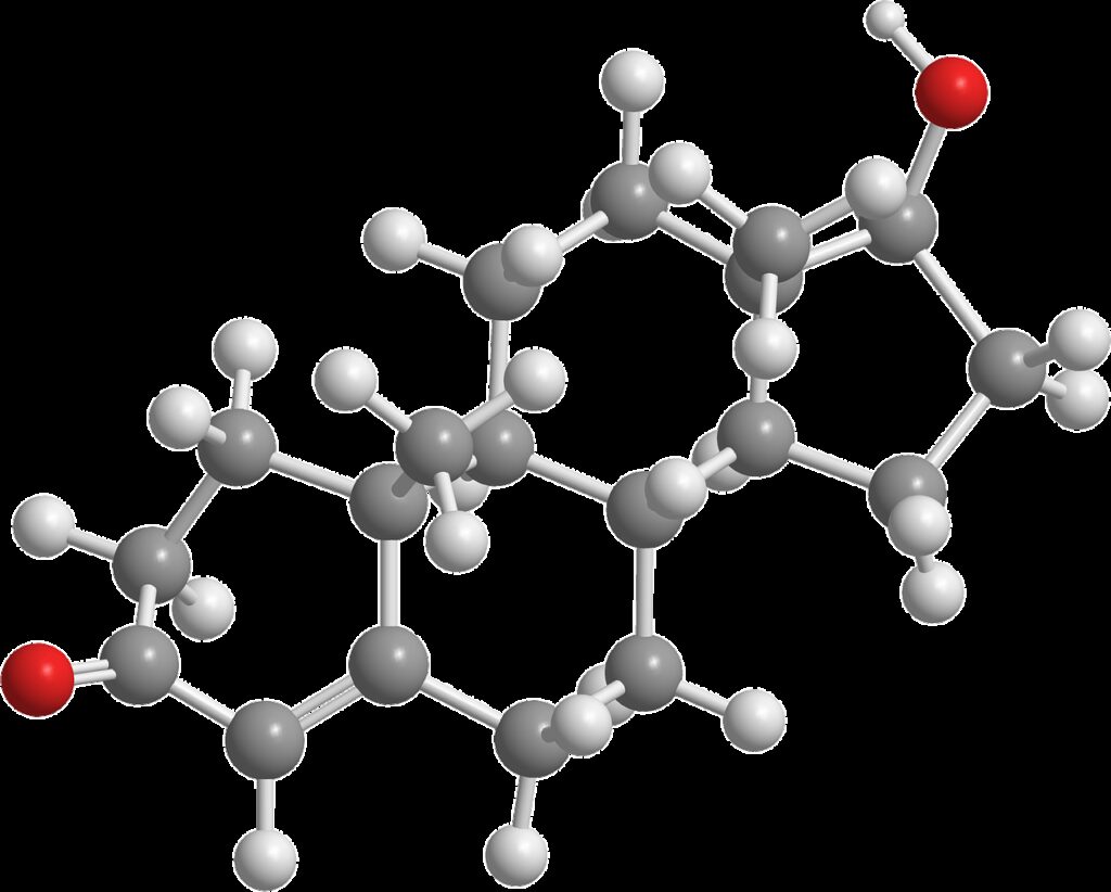 testosterone, organic chemistry, hormones